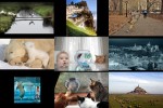 Bravo-für-die-Fotografen.pps auf www.funpot.net