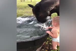 Spa mit Pferden