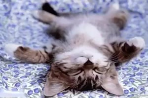 Sieht gem�tlich aus