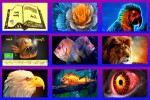 Digitale-Kunst.ppsx auf www.funpot.net