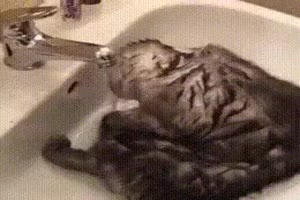 Sie liebt Wasser ueber alles