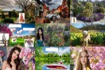 Frühling.ppsx auf www.funpot.net