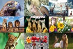 Augenblicke-4.ppsx auf www.funpot.net