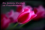 Lebensweisheiten-.mp4 auf www.funpot.net