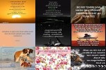 . auf www.funpot.net