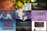 . auf www.funpot.net