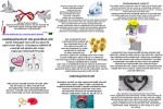 Hochzeitsjubiläum.pps auf www.funpot.net