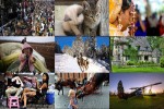 Photo-mix-178---Fotomix-178.pps auf www.funpot.net