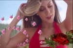 Bernhard-Brink-Mein-blondes-Wunder.mp4 auf www.funpot.net