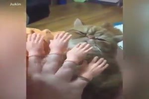 Wirklich sehr lustig