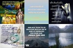 . auf www.funpot.net