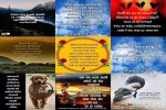 . auf www.funpot.net
