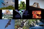 Bilder-Galerie.pps auf www.funpot.net