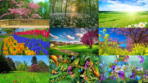 klicke hier, um die Datei herunterzuladen Frühling 27