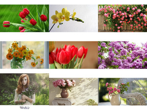 klicke hier, um die Datei herunterzuladen Fleurs 1 - Blumen 1