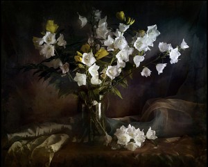 klicke hier, um die Datei herunterzuladen Still Life 5 - Stillleben 5