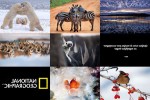 Tiere-und-Natur.pps auf www.funpot.net