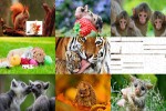 Süße-Tiere.ppsx auf www.funpot.net