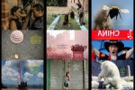 Pressebilder-Juni-2019.pps auf www.funpot.net