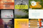. auf www.funpot.net