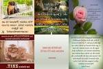 . auf www.funpot.net