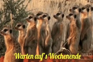Schoenes Wochenende