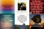 . auf www.funpot.net