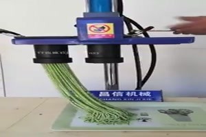 Erstaunliche Faehigkeiten