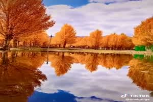 Tolle Reflexion