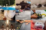 . auf www.funpot.net