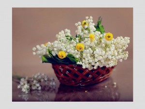 Les fleurs de Valentina Koribut 2 - Die Bl�ten von Valentina