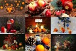 Christmas-Fruits---Weihnachtsfrüchte.ppsx auf www.funpot.net