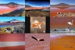 Laguna-Colorada---Bolivia.ppsx auf www.funpot.net