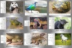 Besondere-Tiere.ppsx auf www.funpot.net