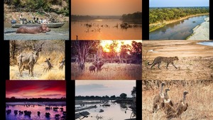 klicke hier, um die Datei herunterzuladen Luangwa Park - Sambia