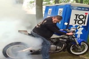 sind die Hirnamputiert