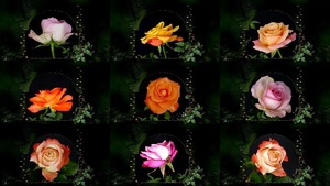 Moments for You - Momente f�r Sie