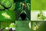 Grün-39.ppsx auf www.funpot.net