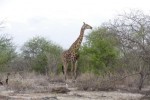 Impressionen-aus-Namibia-6.pps auf www.funpot.net