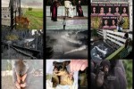 Pressebilder-Januar-2020.pps auf www.funpot.net