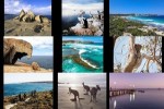 Kangaroo-Island---Australie.ppsx auf www.funpot.net