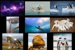Bilder-Galerie-.pps auf www.funpot.net