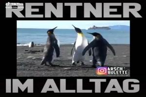 Rentner im Alltag