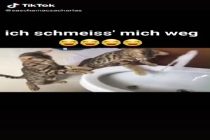 Ich schmei� mich weg