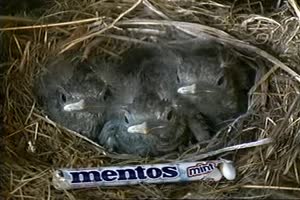 mentos