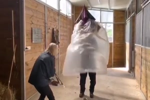 Richtiger Schutzschirm