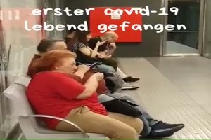 erster Virus lebend gefunden