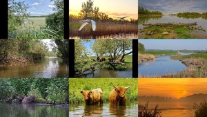 klicke hier, um die Datei herunterzuladen Biesbosch Nederland