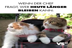 Wenn der Chef fragt,wer heute l�nger bleiben kann: