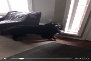 Lass mich raus! Ich will zum Schulbus !